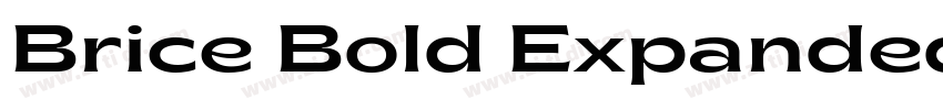 Brice Bold Expanded字体转换